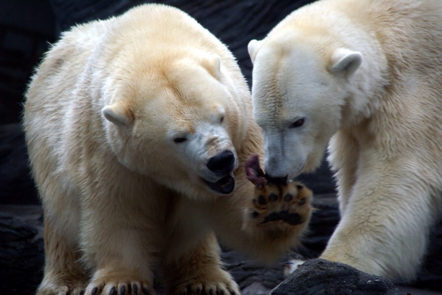 ���������