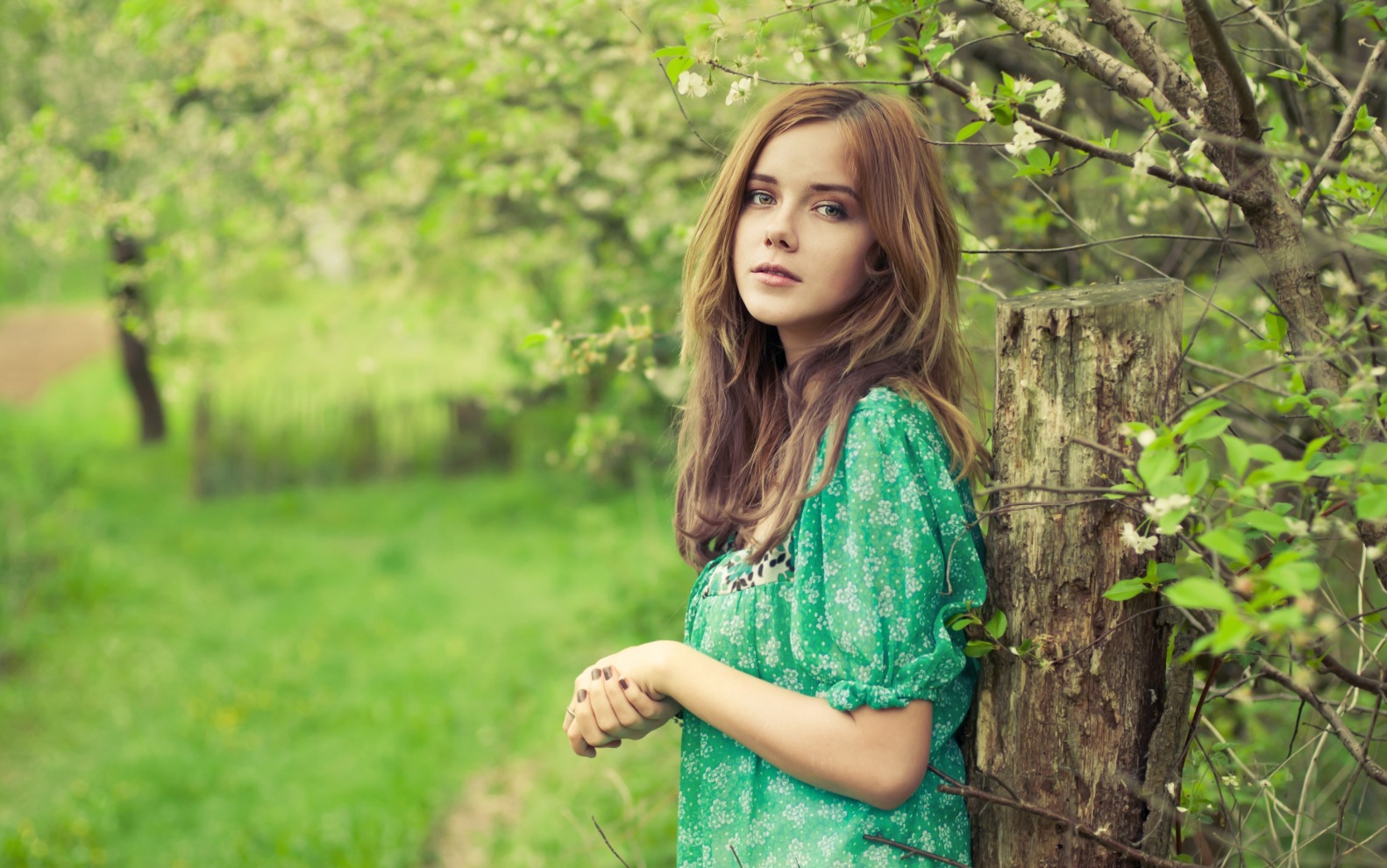 ���������