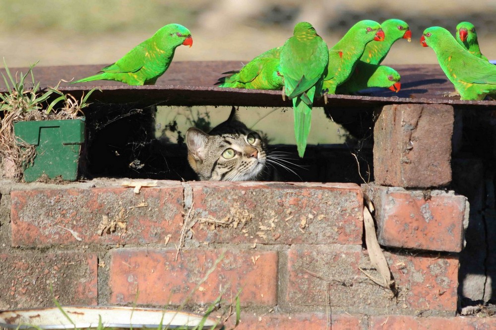 ���������