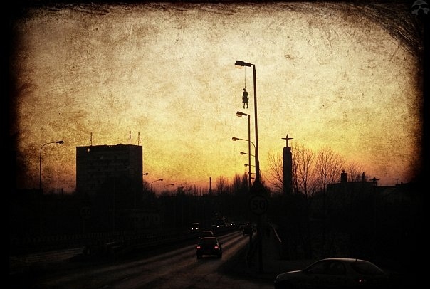 ���������