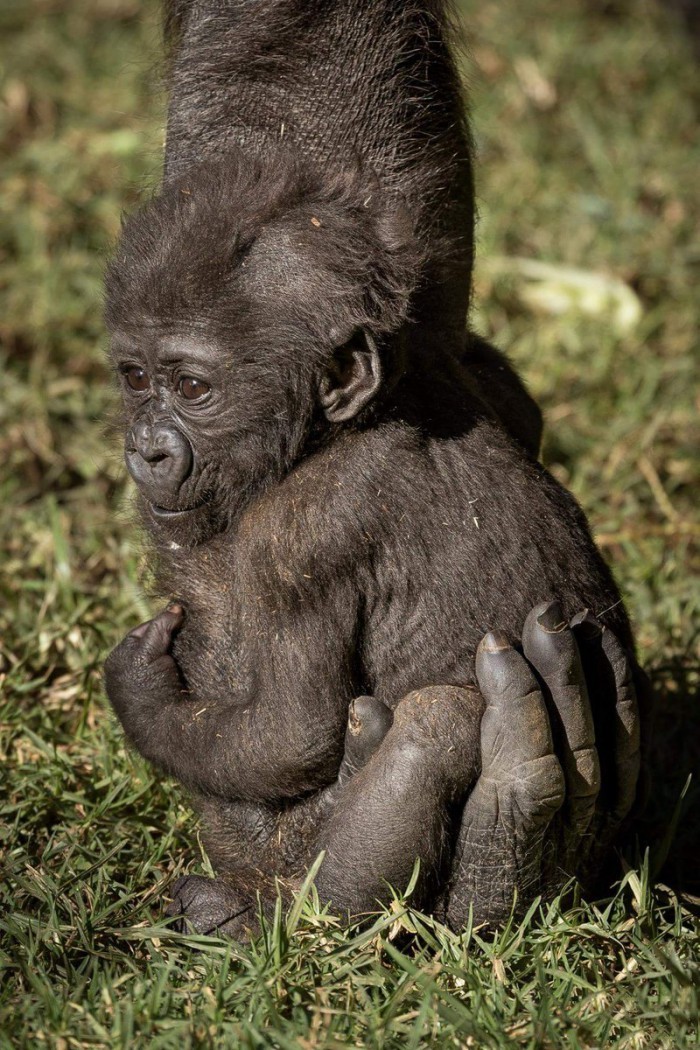 ���������