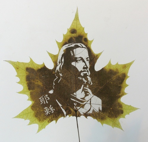 ���������