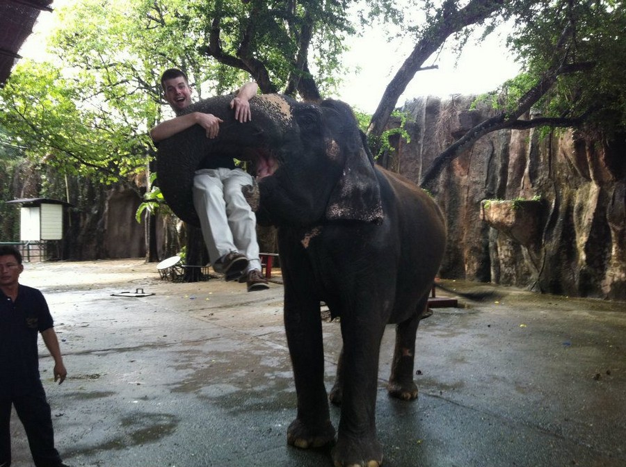 ���������