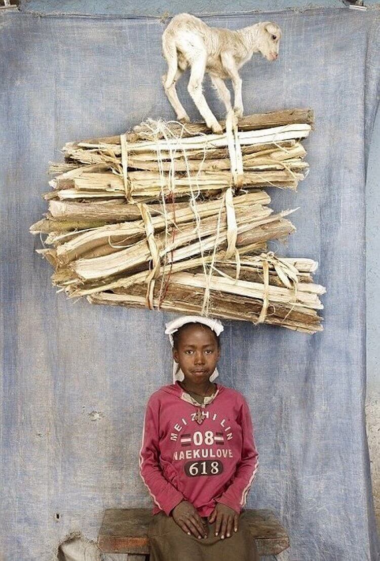 ��������, ����� ���������� � ������ ������