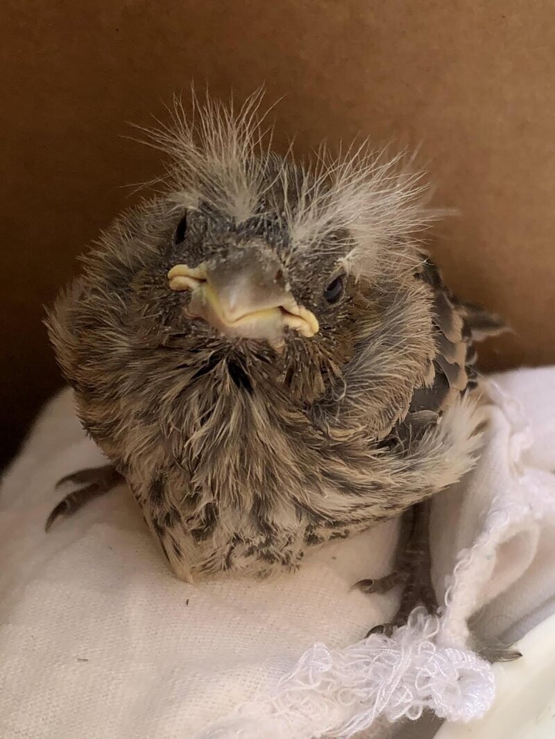 ���������