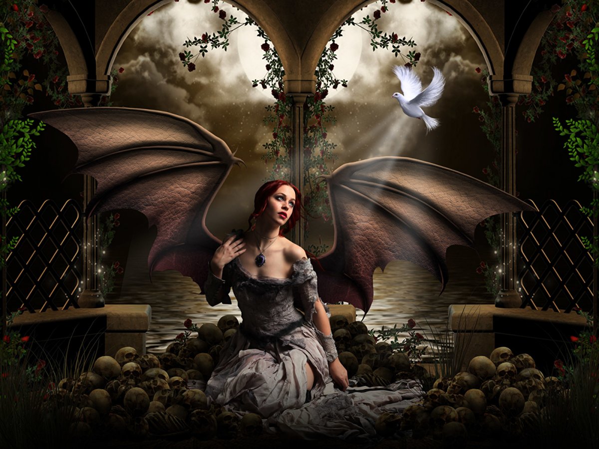 ���������