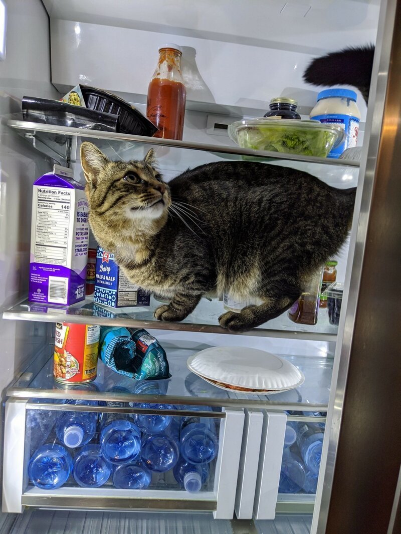 ���������