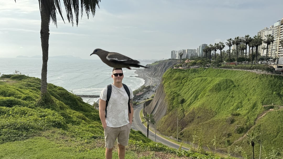 ���������