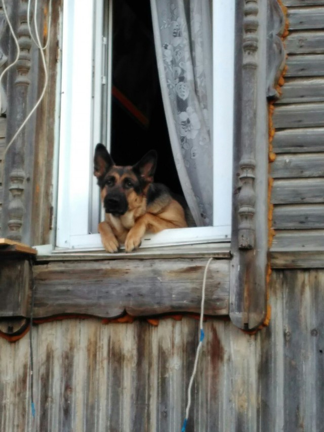 ���������