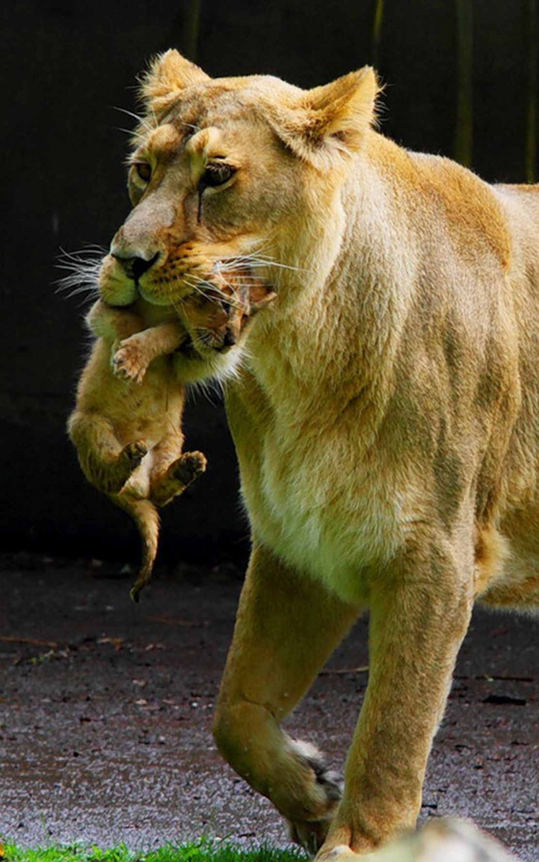 ���������