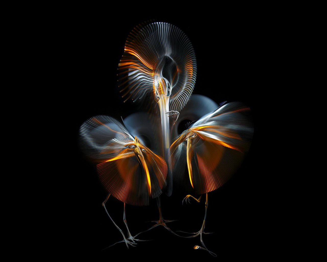 ���������