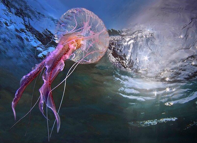 ���������