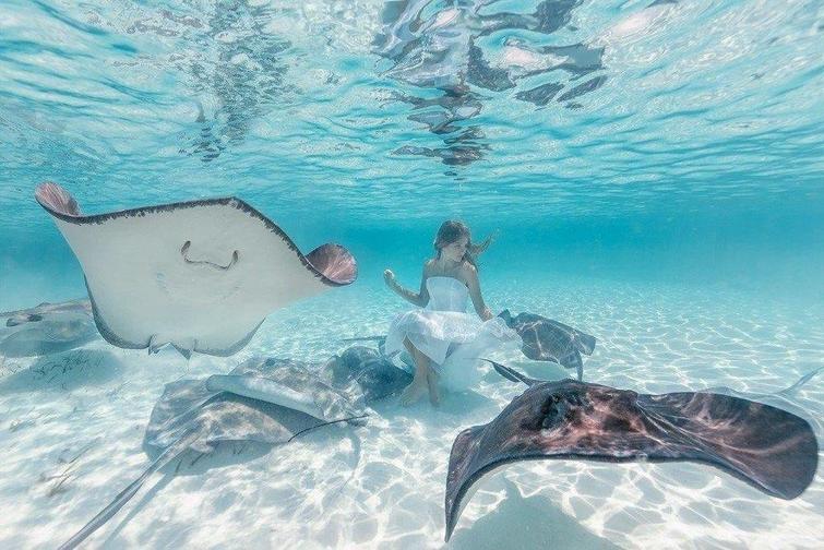 ���������