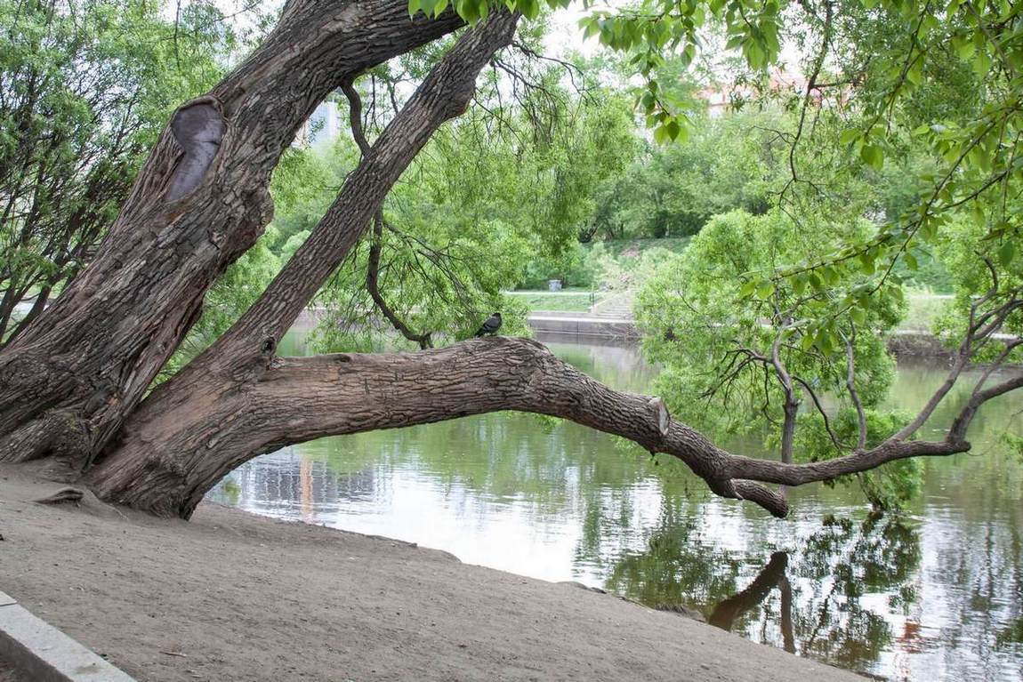 публикация