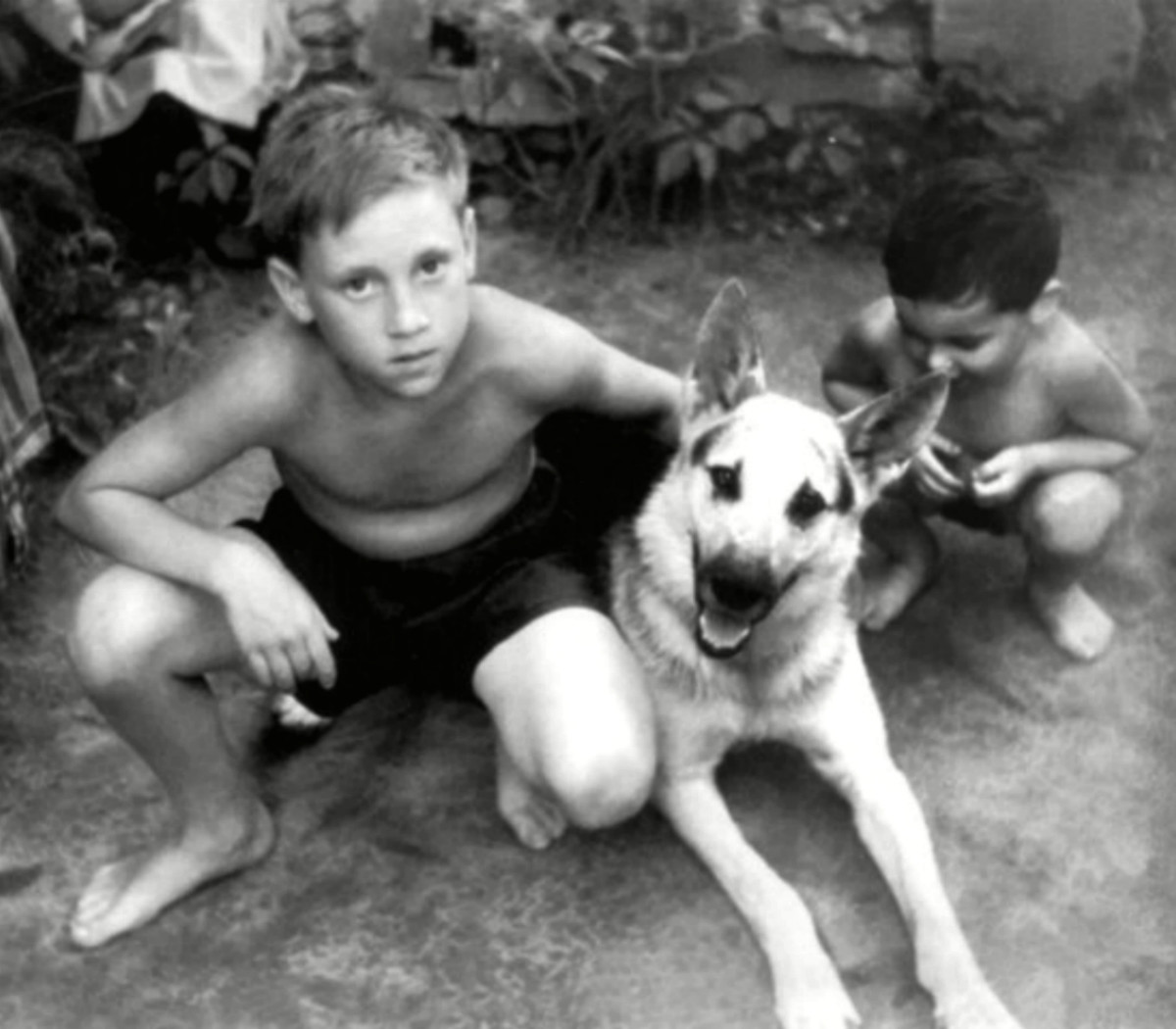 ���������