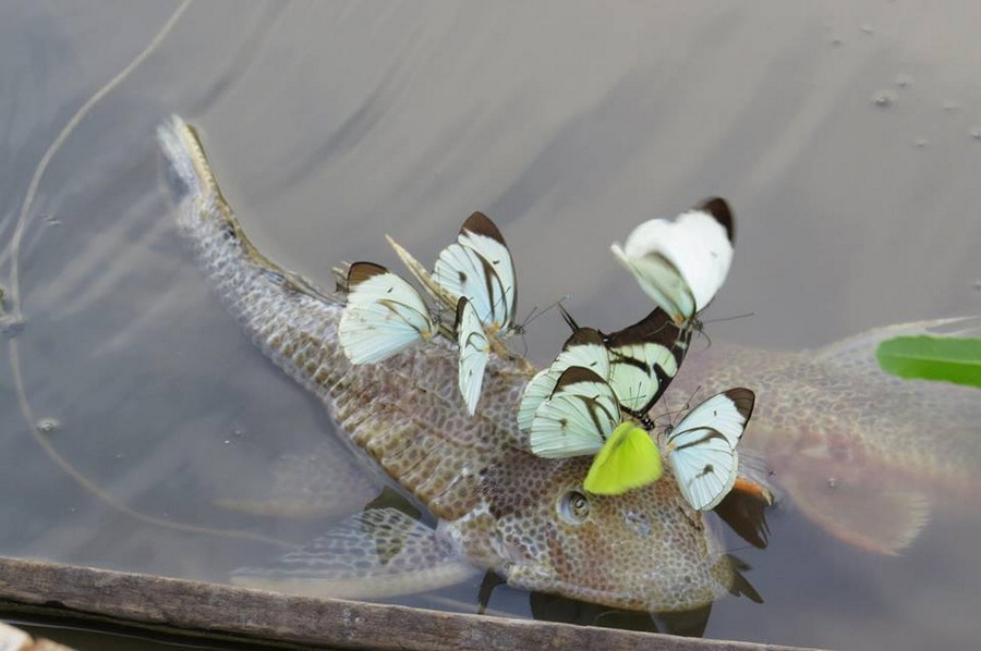 ���������