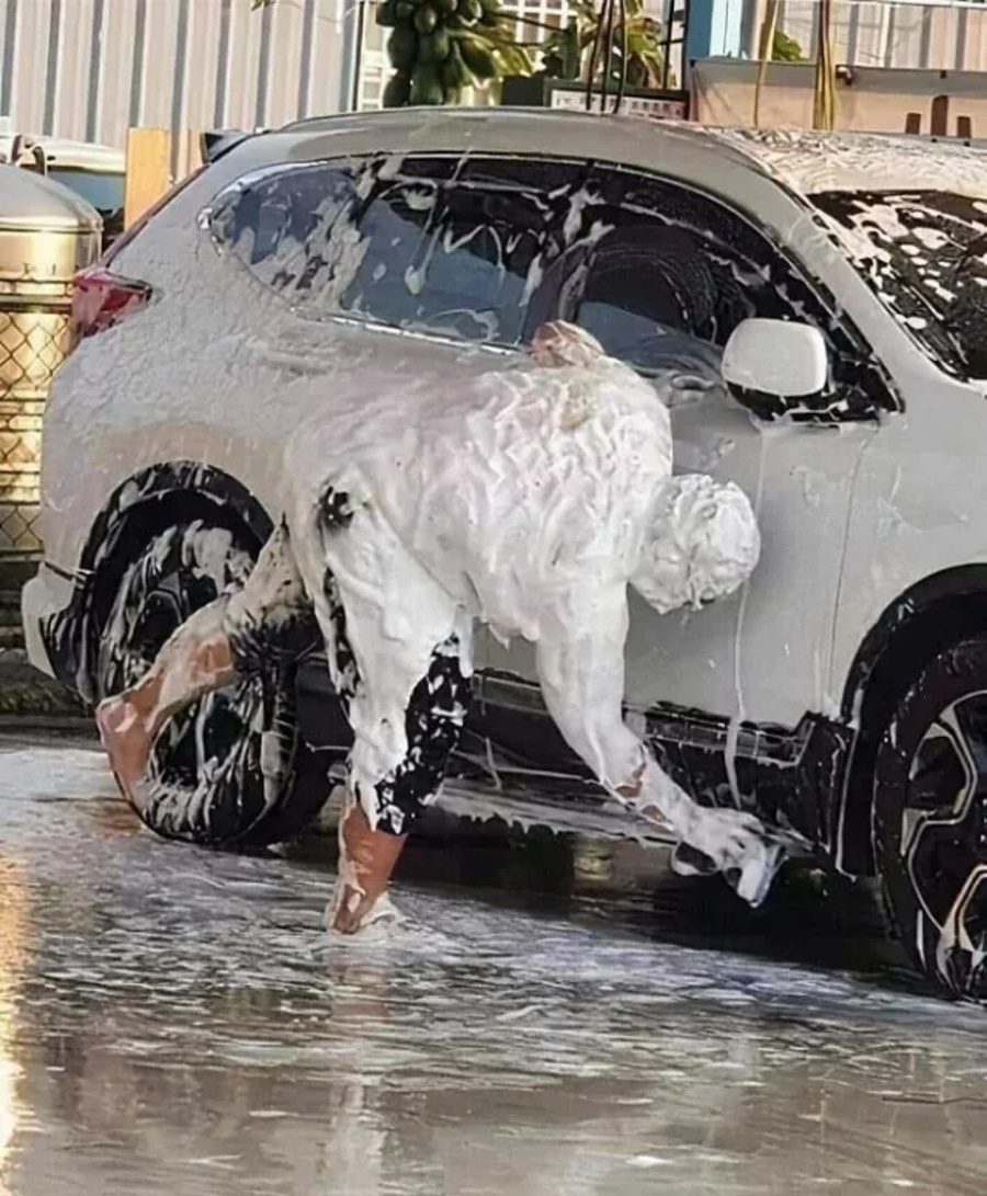 ��������, ����� ���������� � ������ ������