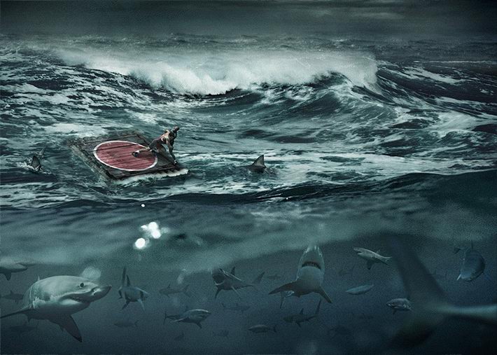 ���������