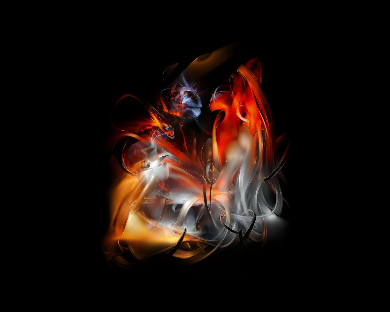 ���������