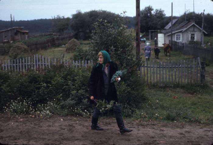 ���������