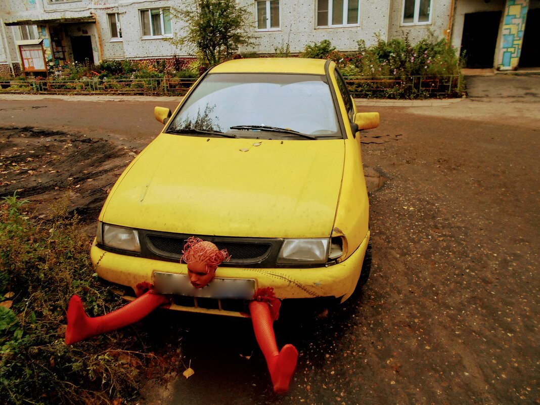 ���������