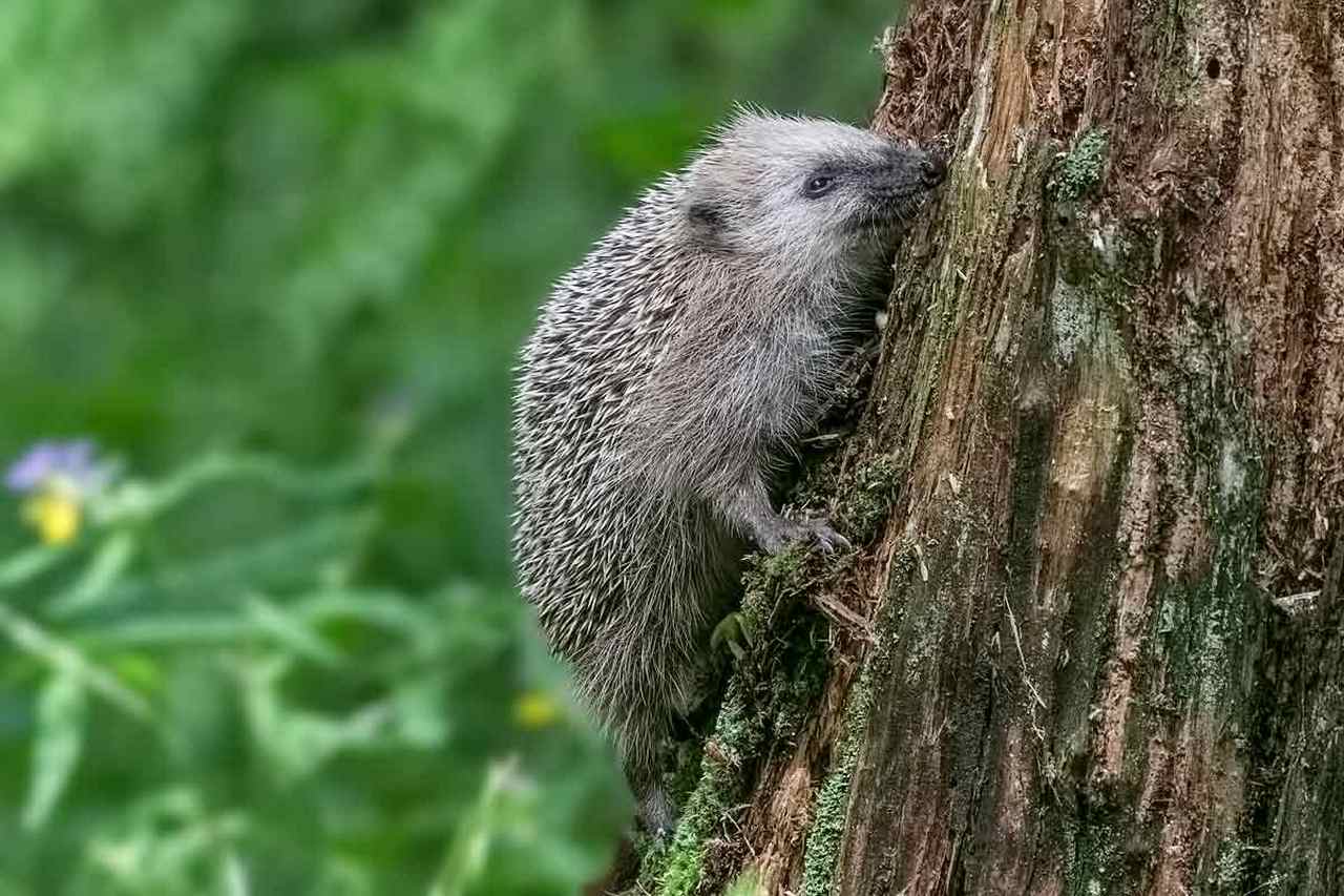 ���������