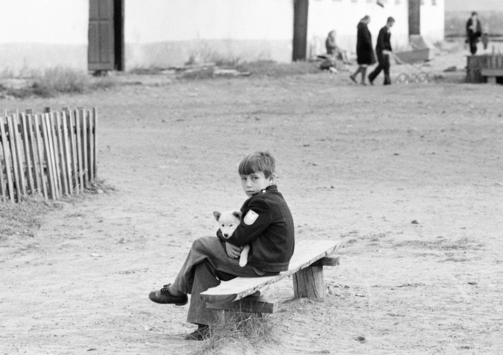 ���������