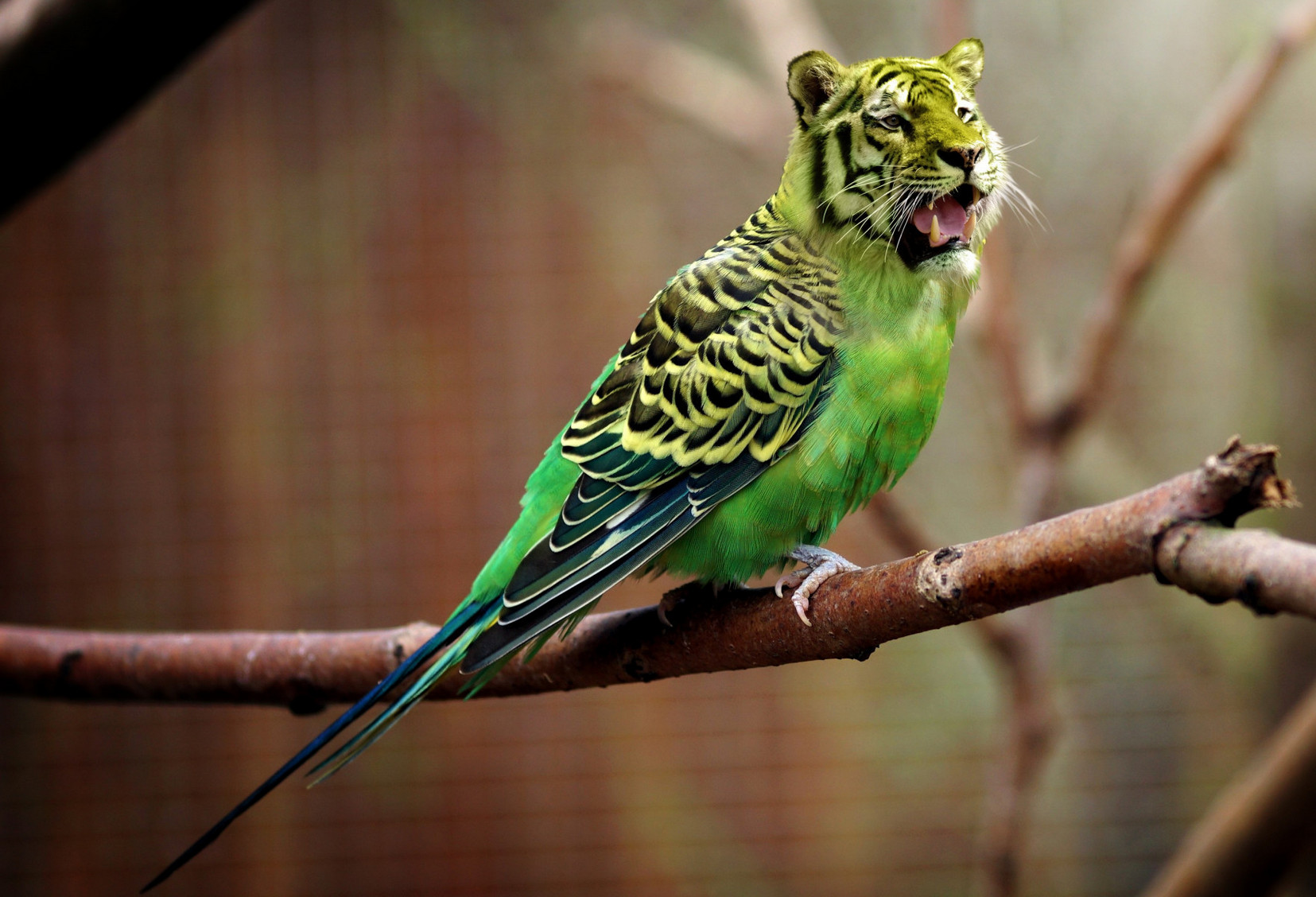 ���������