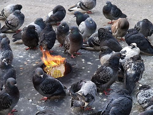 ���������