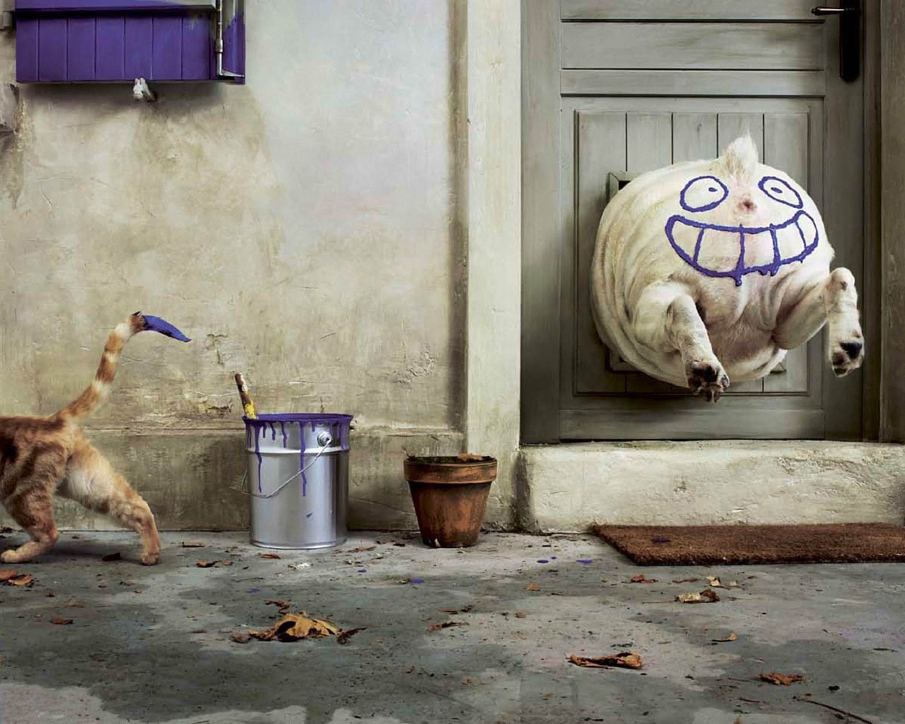 ���������