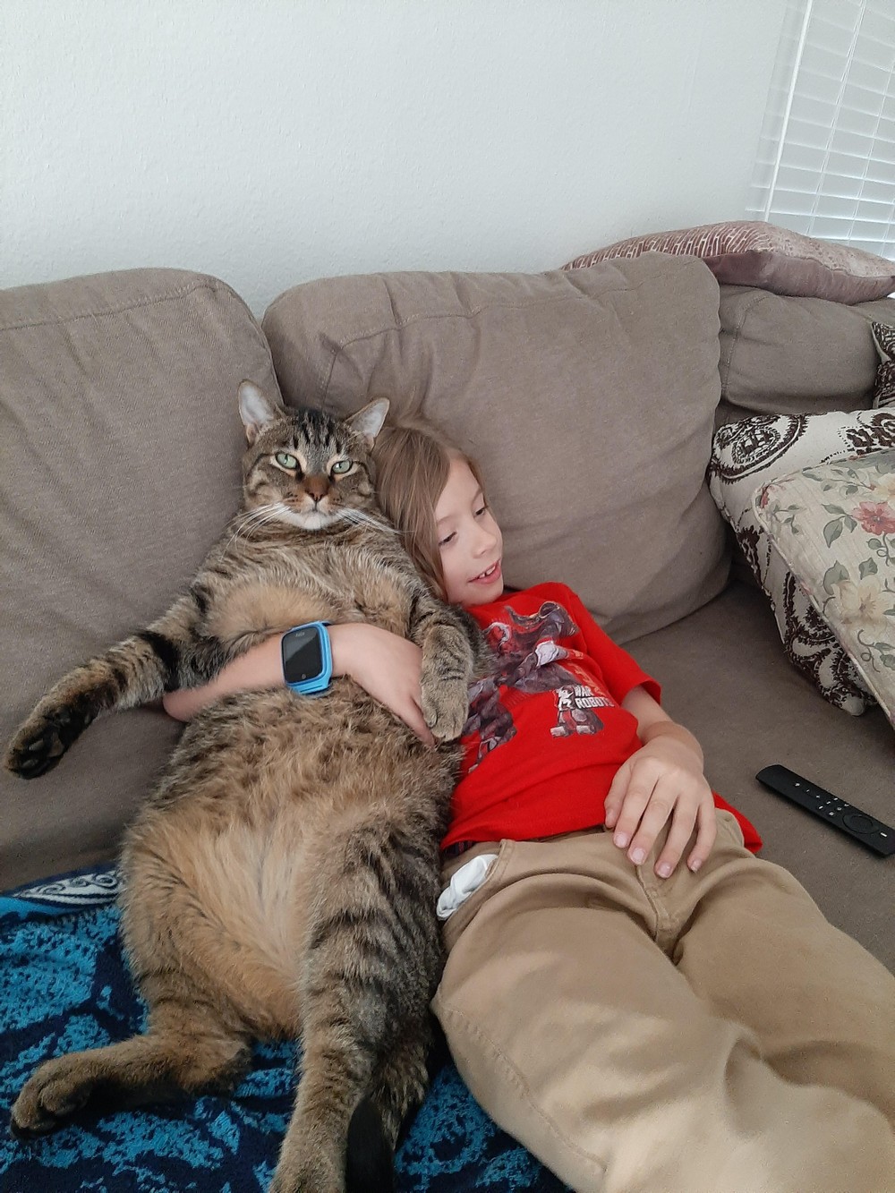 ���������