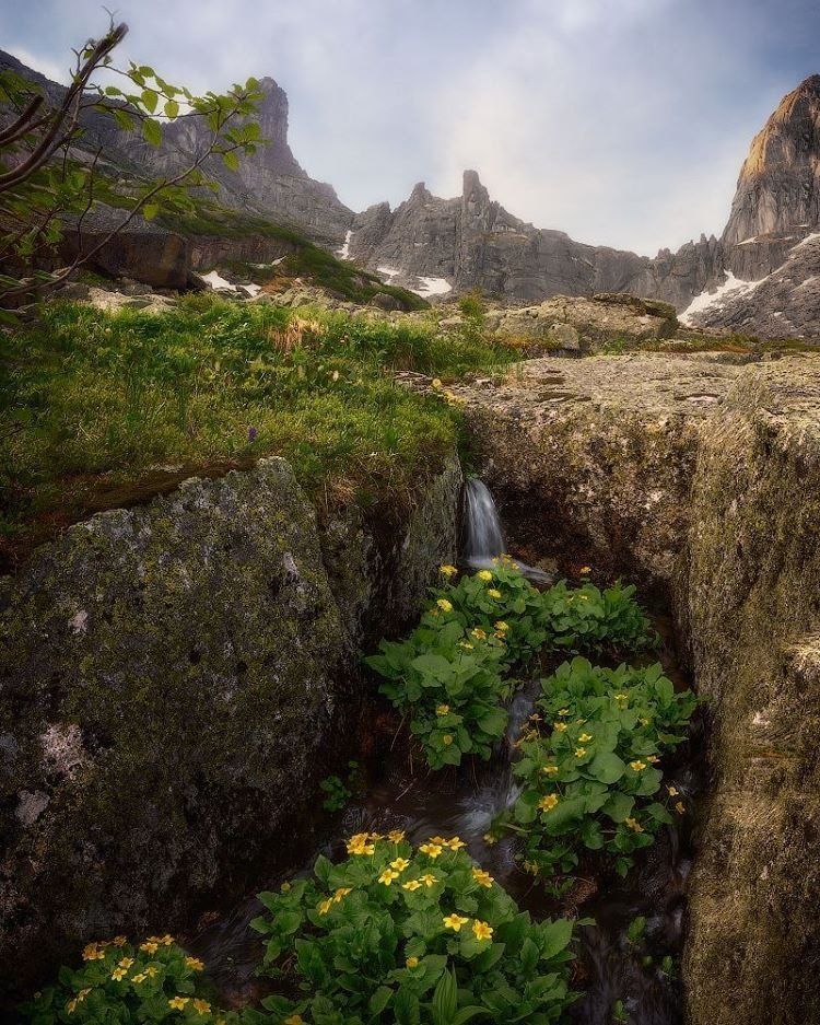 Увеличить Увеличить