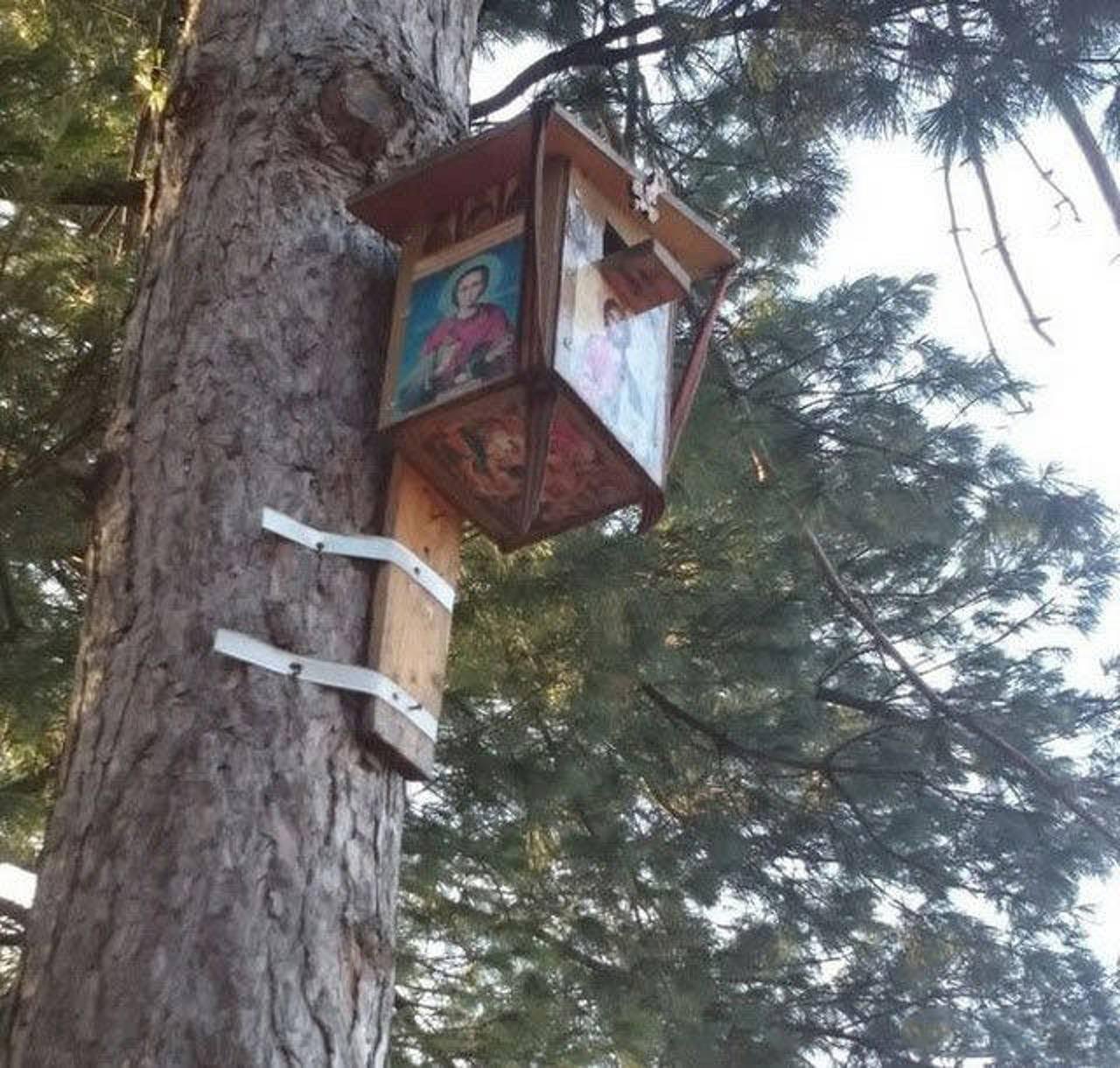 ���������