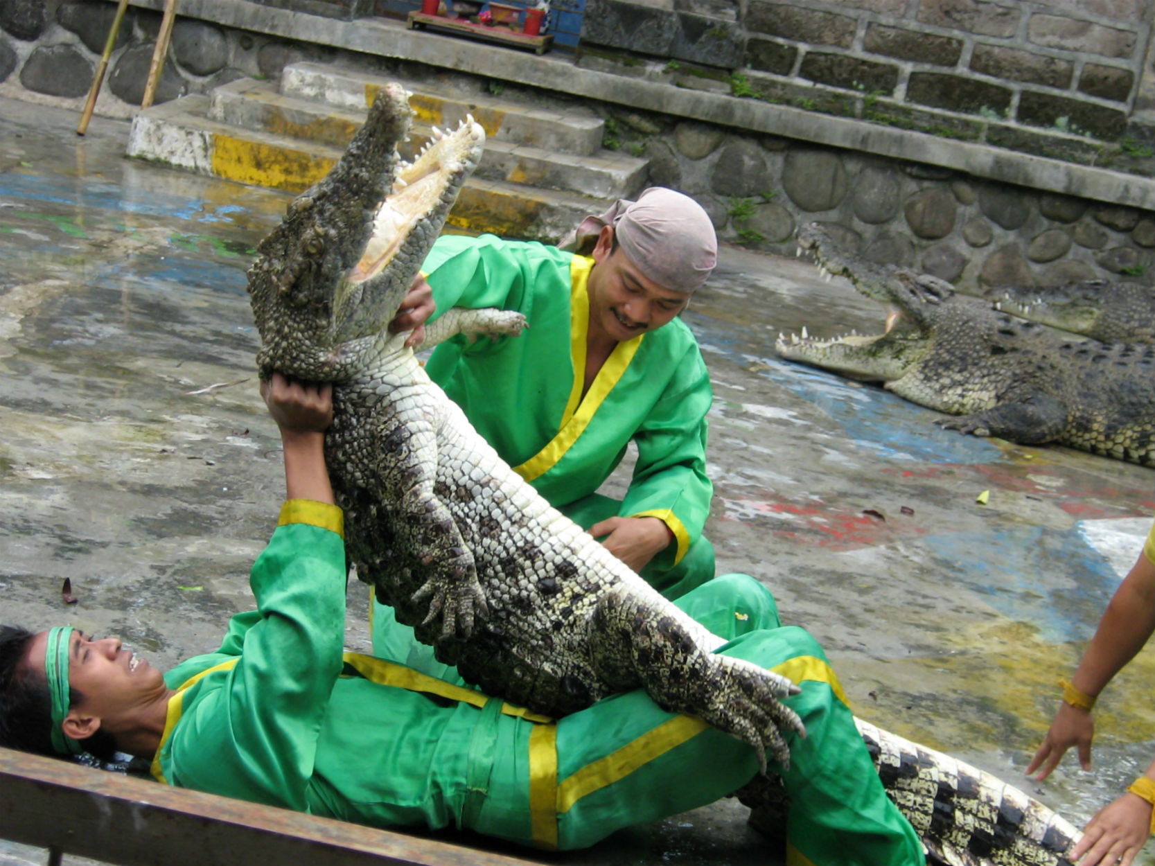 ���������