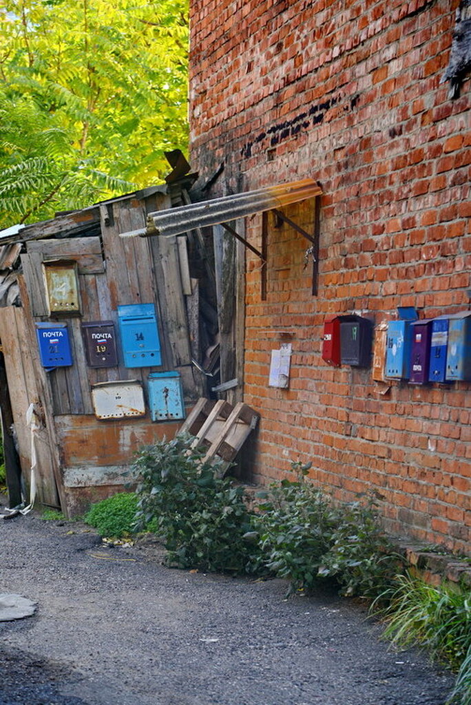 ���������