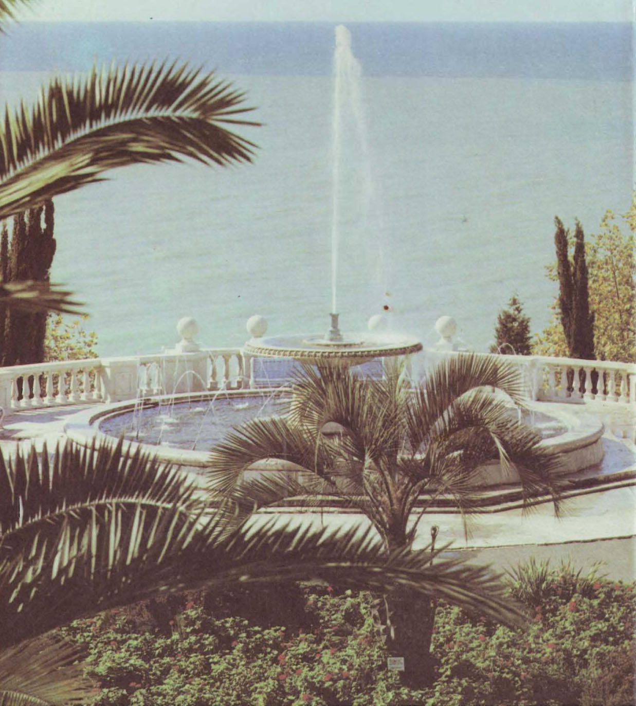 ����������