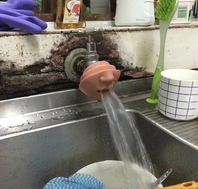 ����������