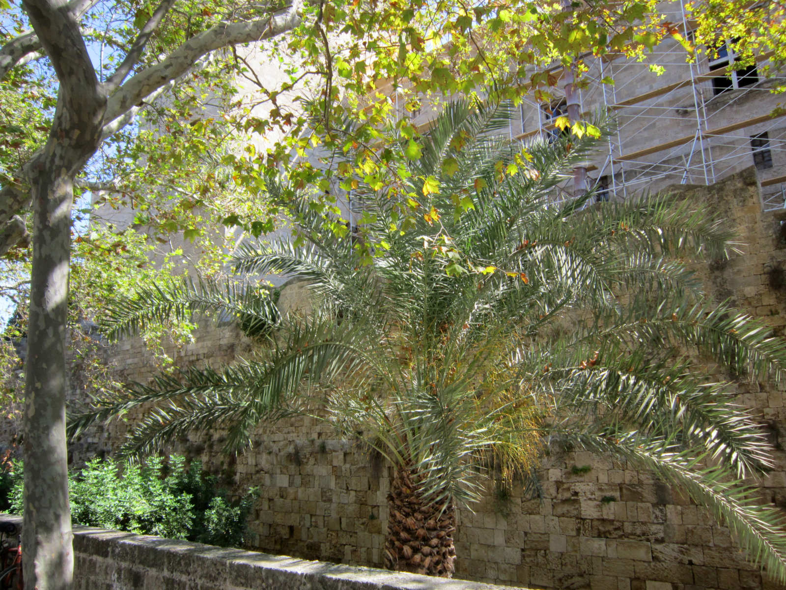 ���������