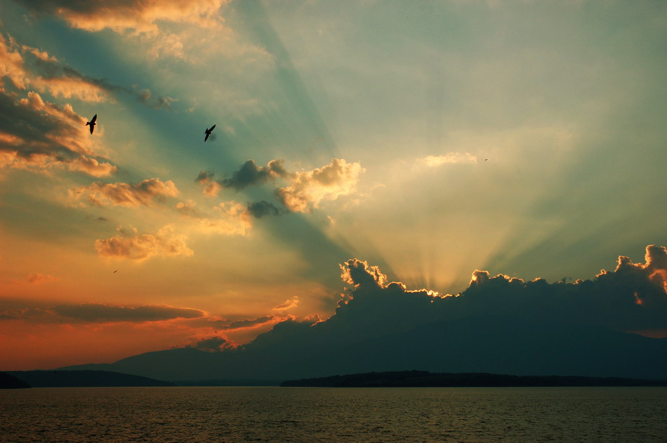 ���������