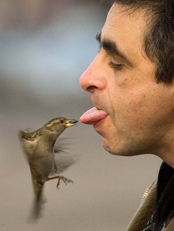 ���������