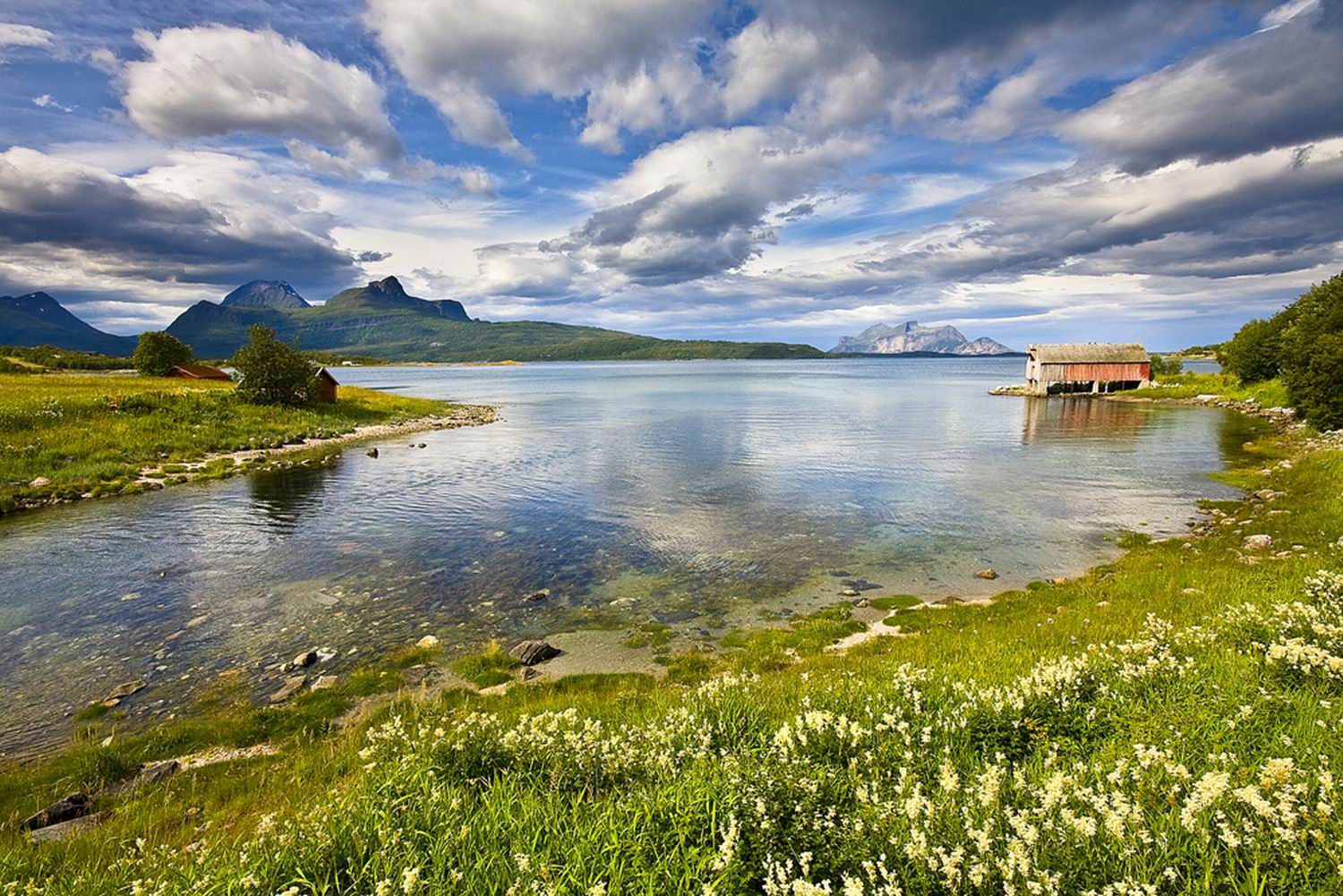 ���������