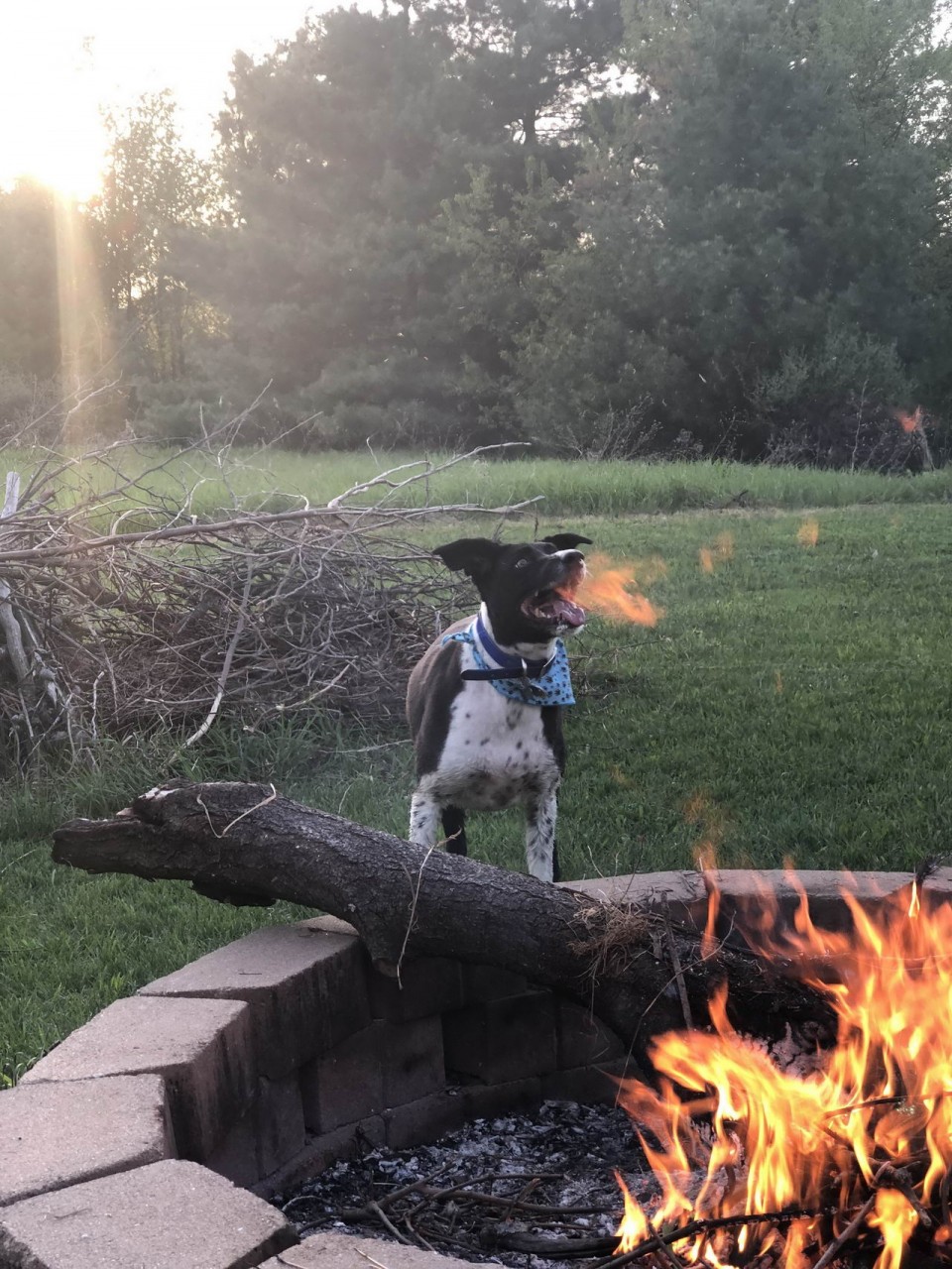 ���������