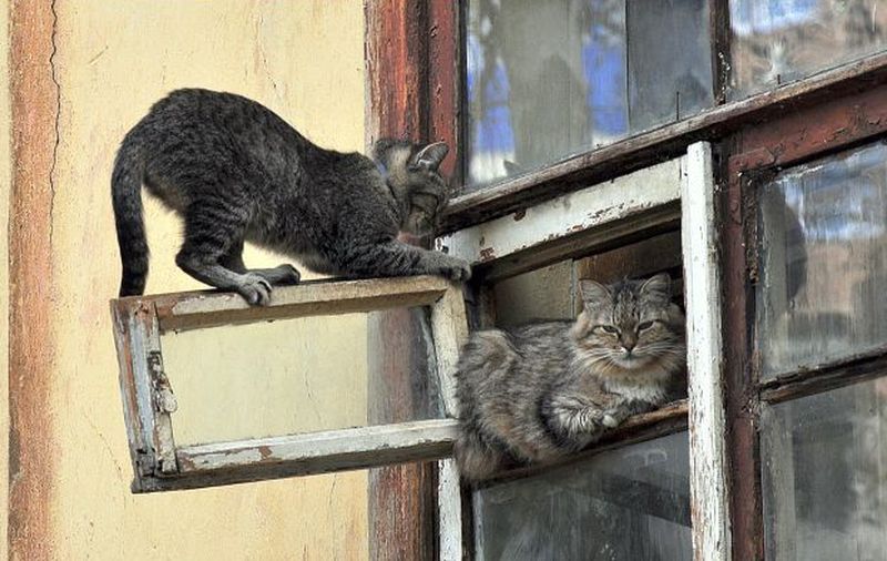 ���������