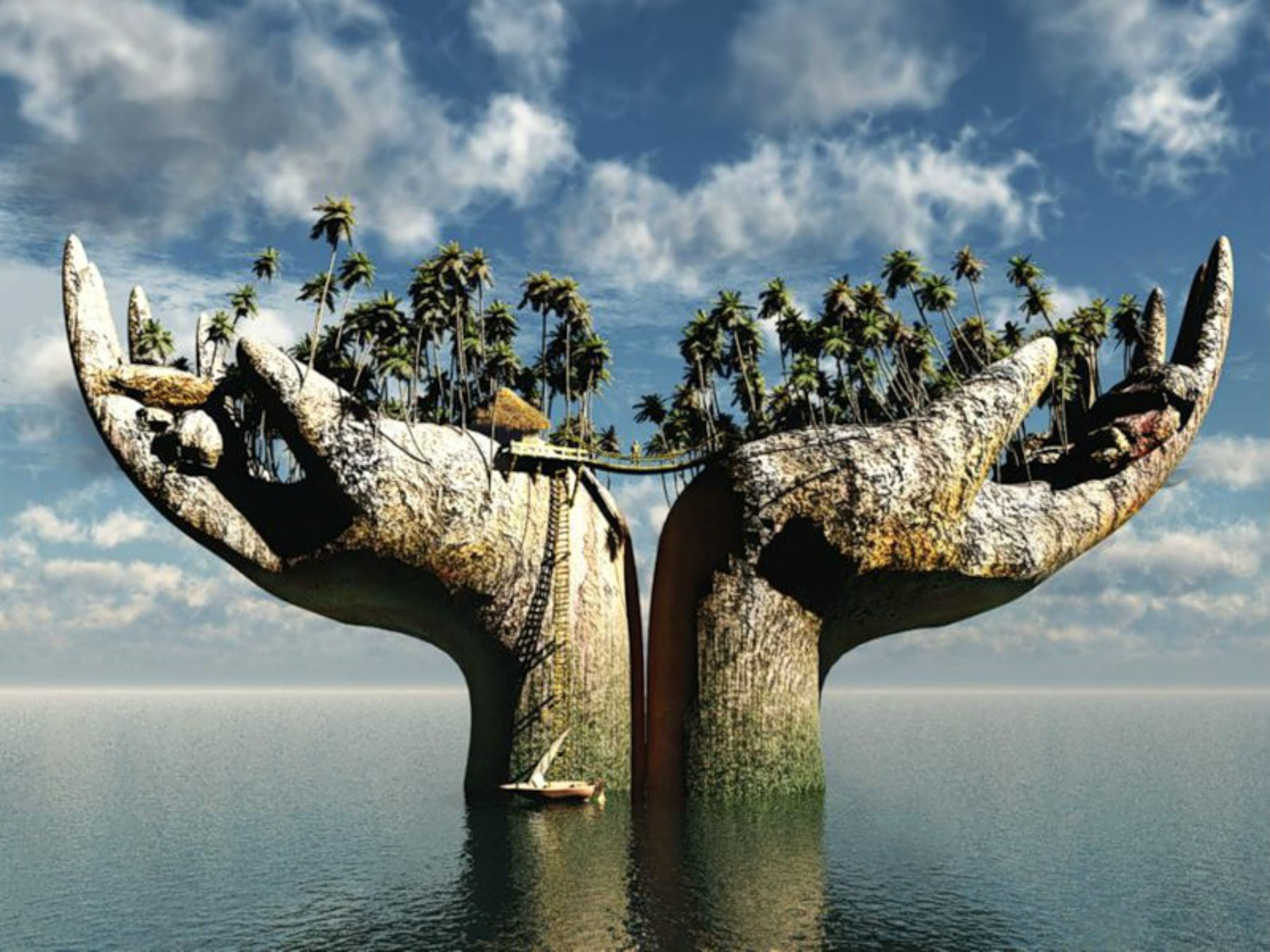 ���������