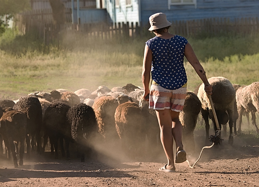 ���������