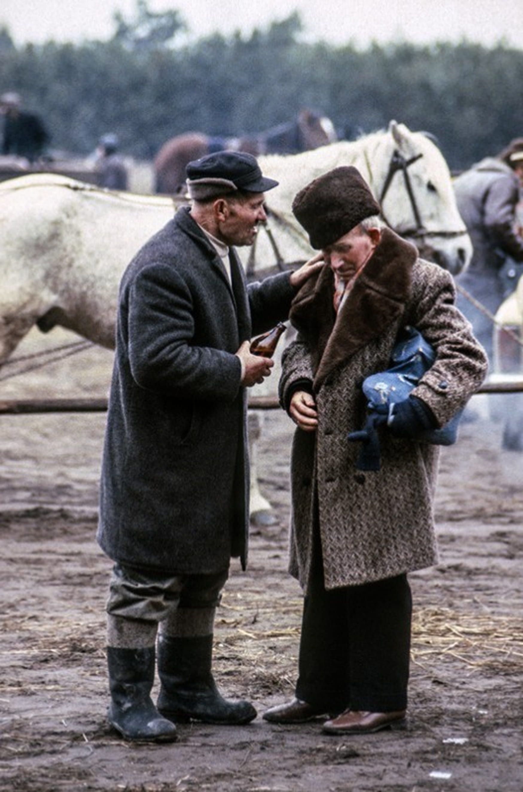 ���������