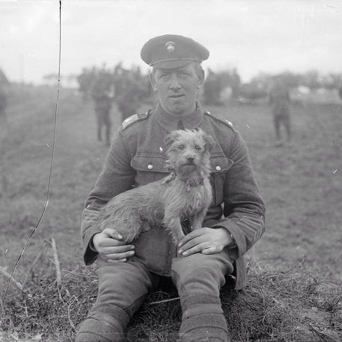 ���������