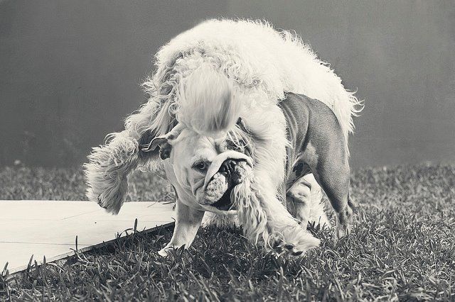 ���������