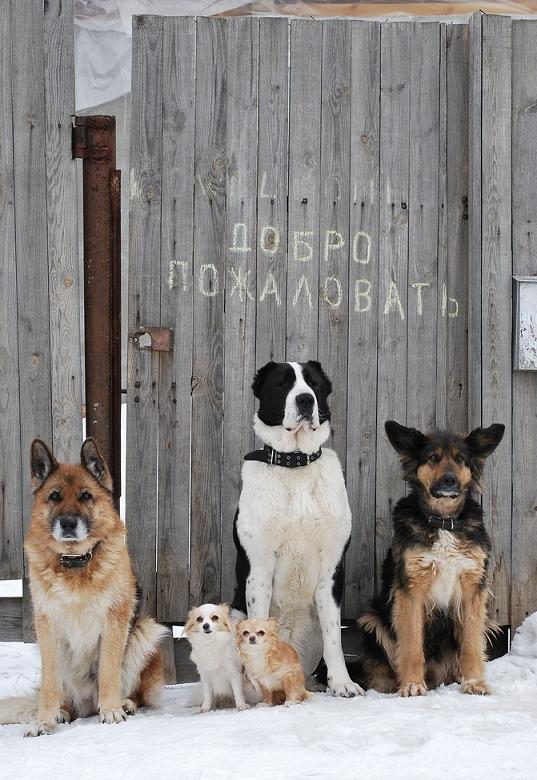 ���������