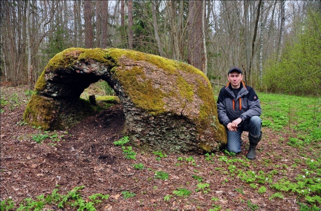 ���������